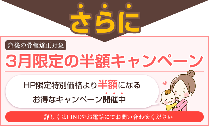 3月限定：初回料金半額