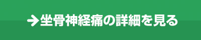 坐骨神経痛の詳細を見る